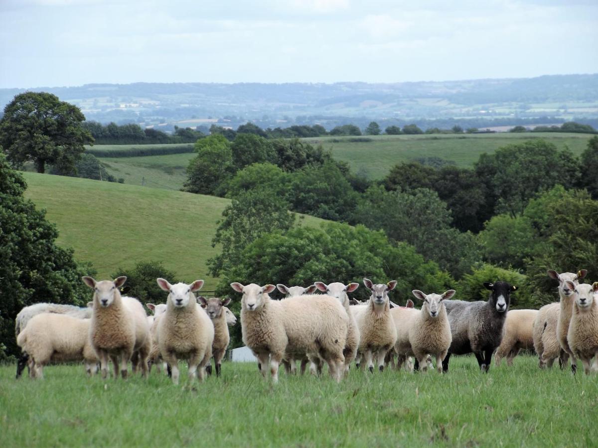 Deepaller Farm Tiverton  Exterior foto